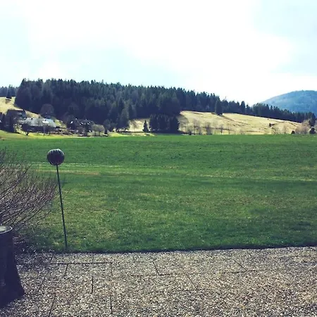 Geiger In *