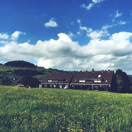 Holiday home Geiger In Bernau im Schwarzwald