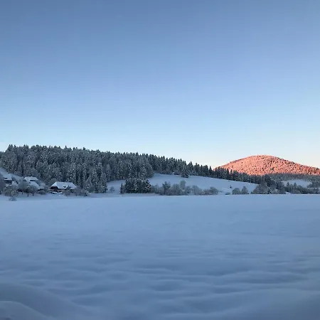 Geiger In Сasa de vacaciones Bernau im Schwarzwald