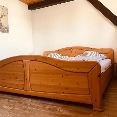 Geiger In Holiday home